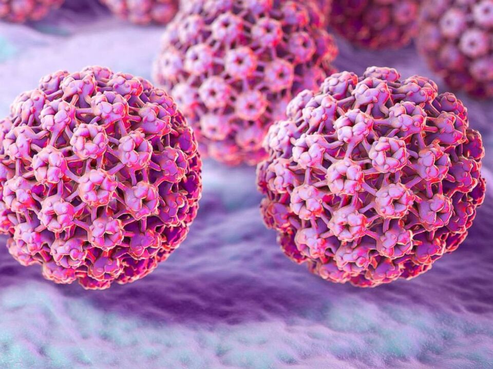 Humanes Papillomavirus unter dem Mikroskop